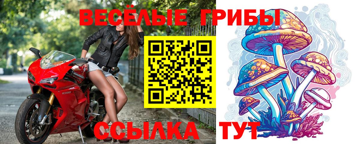 Галлюциногенные грибы прущие грибы Тверь