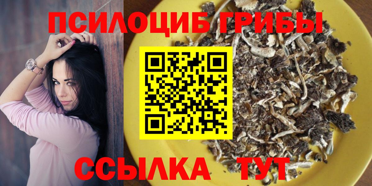 Тверь  продажа наркотиков  Вход с VPN  Галлюциногенные грибы Psilocybe 